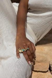 Anillo un colibri indiscreto
