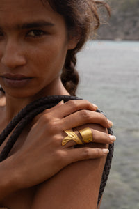 Anillo  sardina