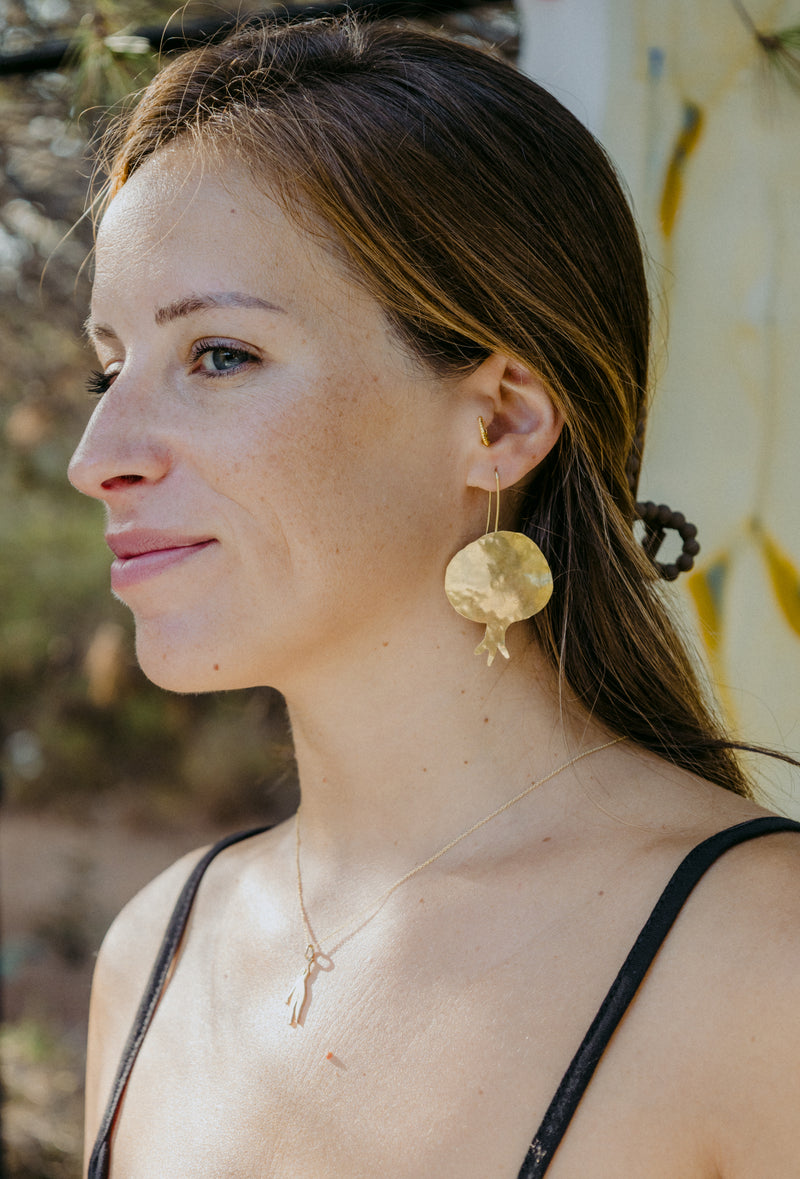 Pendientes Fruto