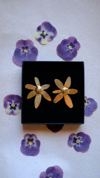 Flor de colibri