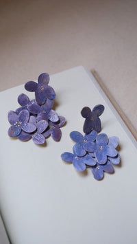 Hortensias grandes de colores