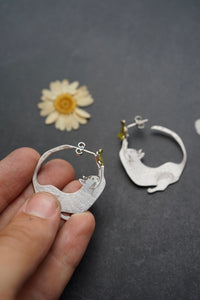 Argollas gatitos