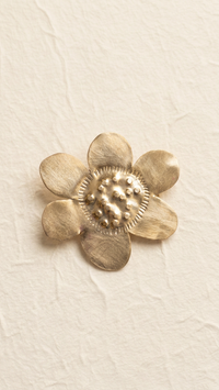 Anillo Flor del paraná