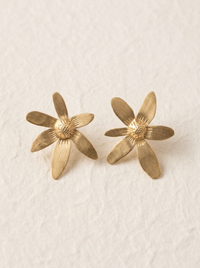 Flor de colibri