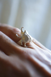Anillo escarabajo