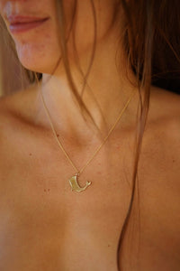 Collar de Ballena