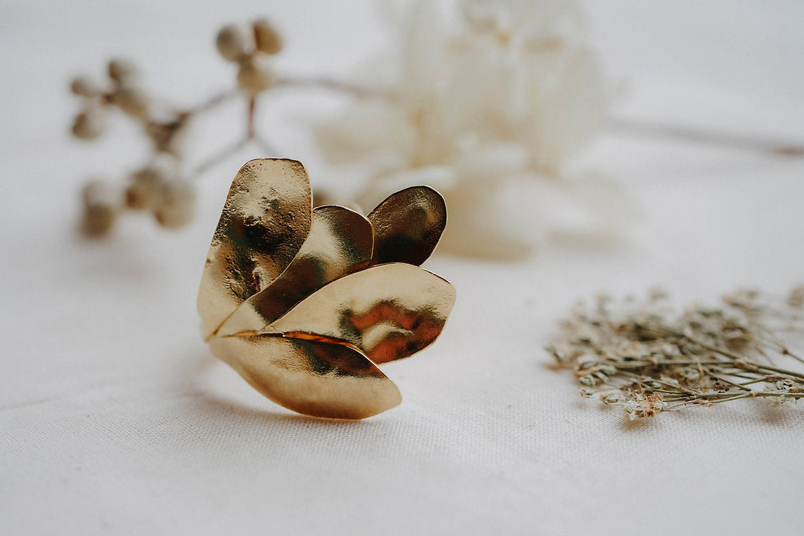 Anillos bosque