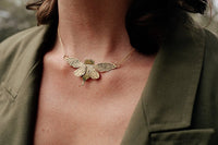 collar chicharra