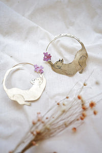 Argollas gatitos