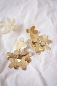 Hortensias grandes
