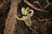 Capricornio Zodíaco