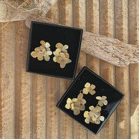 Hortensias grandes
