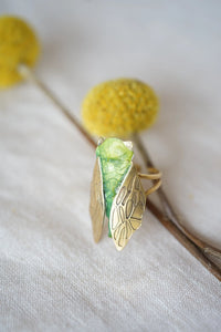 Anillo chicharra personalizado