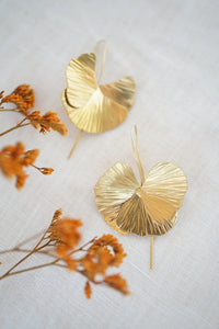 petalos de amapolas