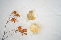 petalos de amapolas