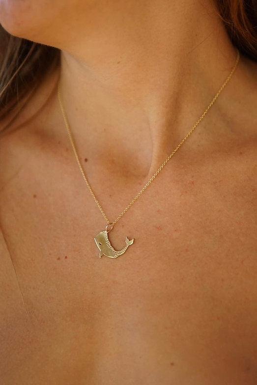 Collar de Ballena