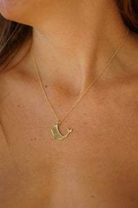 Collar de Ballena