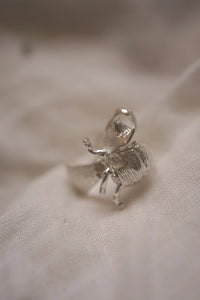 Anillo escarabajo