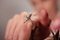 Anillo pajarito