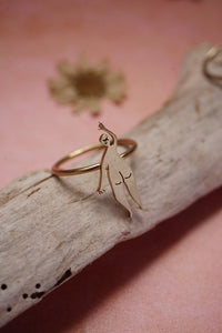 Anillo soñadoras