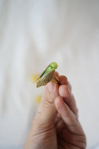 Anillo chicharra personalizado