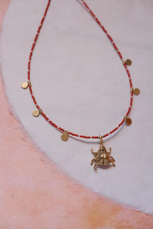 Collar escarabajo y colores