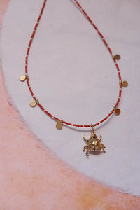 Collar escarabajo y colores