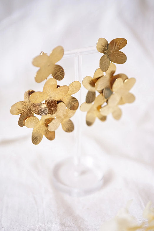 Hortensias grandes