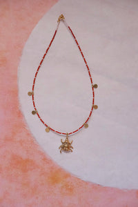 Collar escarabajo y colores
