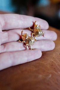 pendientes escarabajo