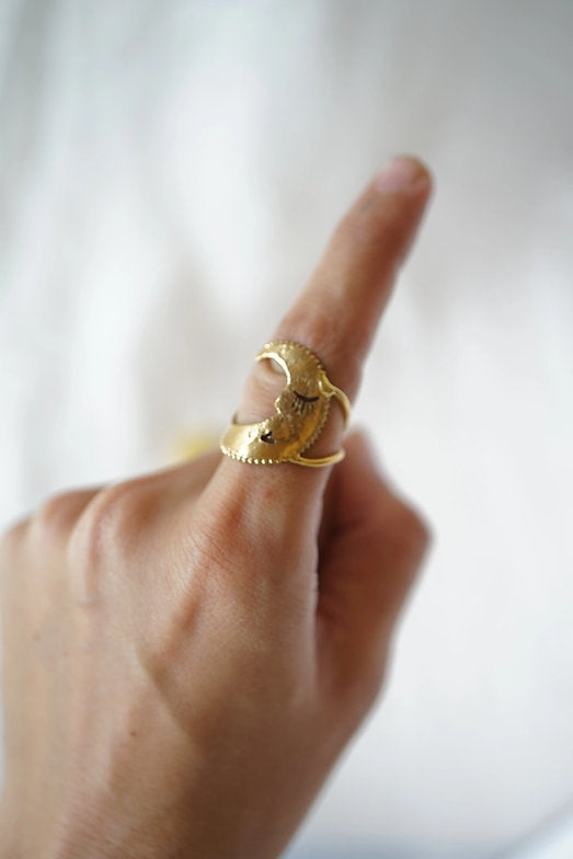 Anillo luna