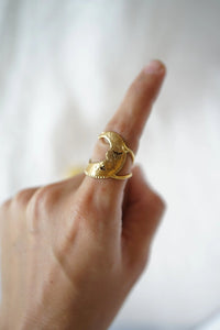 Anillo luna
