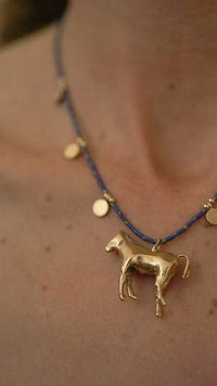 Collar caballo de colores personalizado