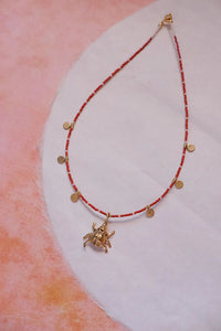 Collar escarabajo y colores