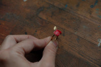 Anillo manzana