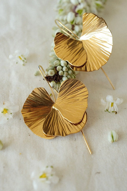 petalos de amapolas