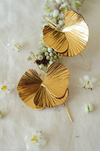 petalos de amapolas