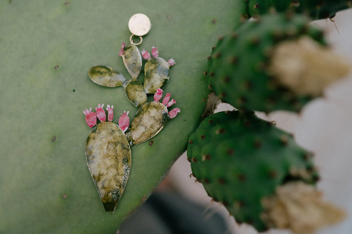 Cactus grande