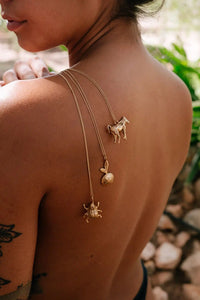 Collar Caballo