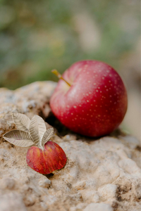 Pendientes Manzanas