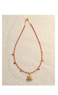 Collar escarabajo y colores