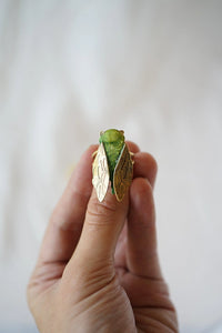Anillo chicharra personalizado