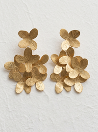 Hortensias grandes