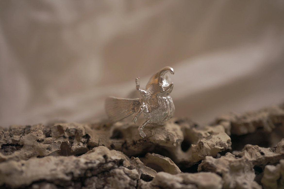 Anillo escarabajo