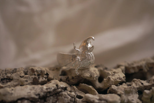 Anillo escarabajo
