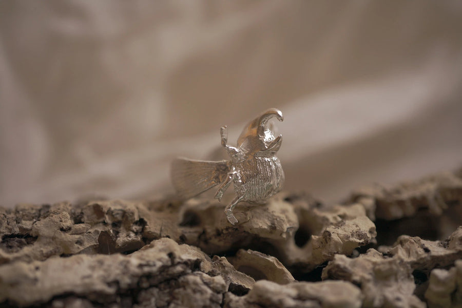Anillo escarabajo