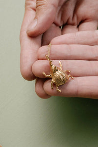 Collar escarabajo