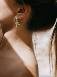 Hojas de olivo y perlas pendientes