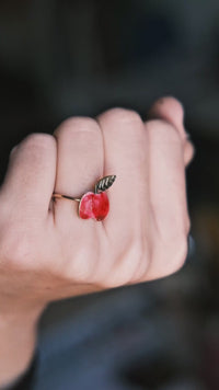 Anillo manzana