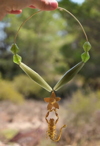 Collier cigale et verre